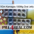 5Gm Kamagra 100Mg Oral Jelly 31